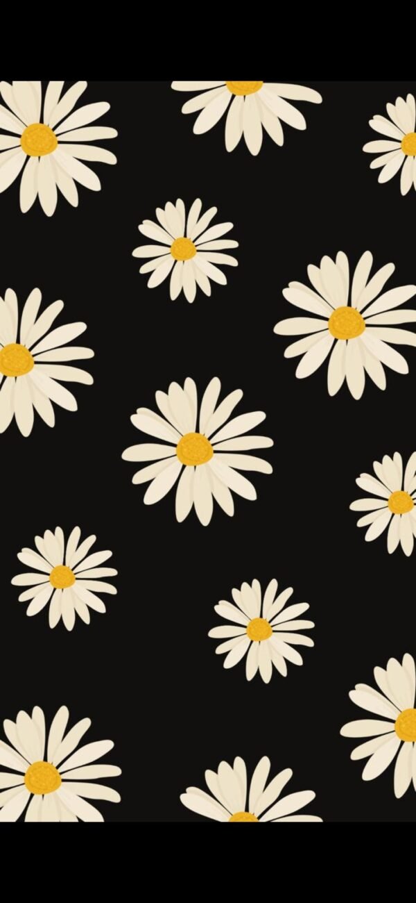 black-daisies